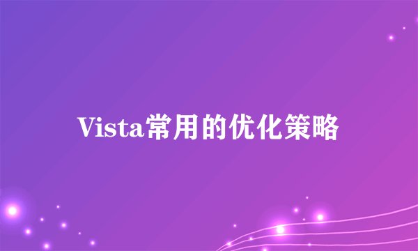 Vista常用的优化策略