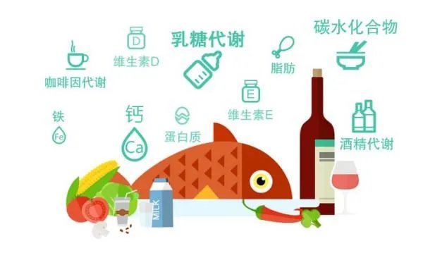 营养与膳食课是什么