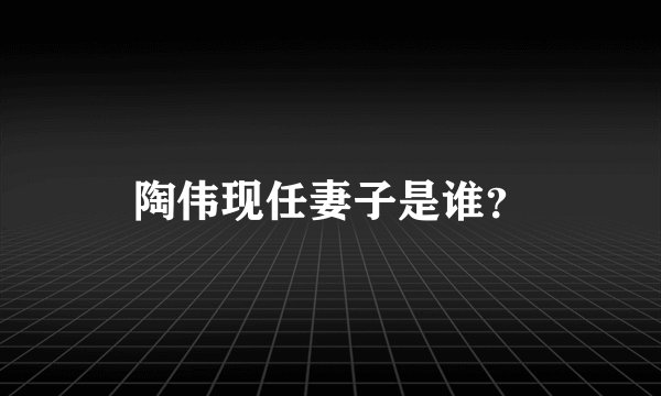陶伟现任妻子是谁？