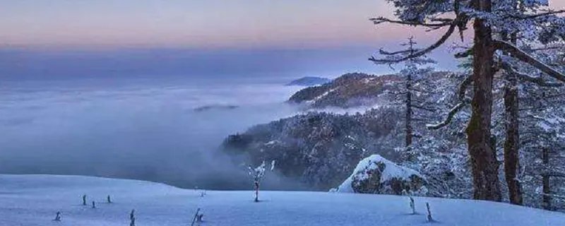 男人梦见大雪纷飞预示什么 男人梦见大雪纷飞好不好