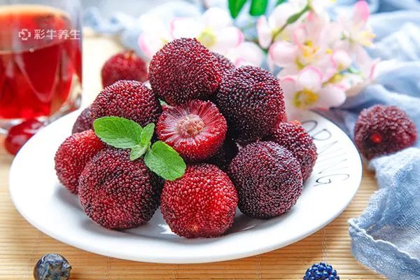 杨梅怎么保存时间长