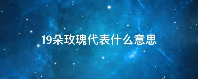 19朵玫瑰代表什么意思