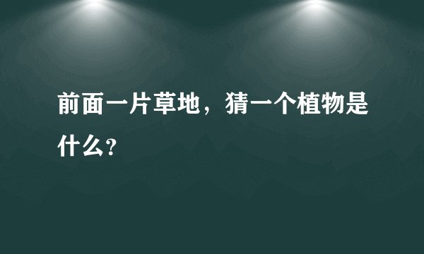前面一片草地，猜一个植物是什么？