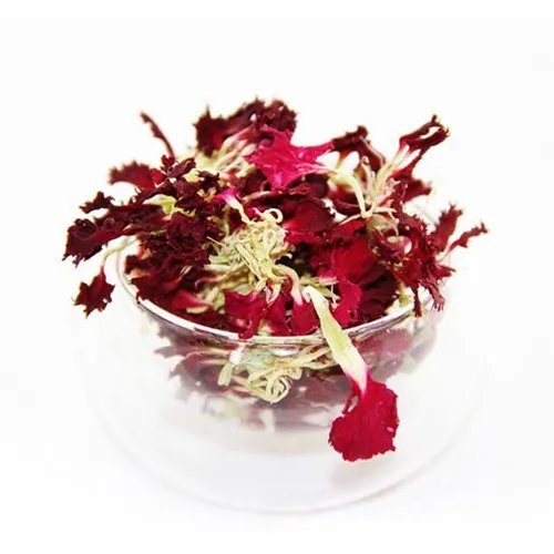 康仙花是康乃馨吗 康仙花的功效与作用有哪些