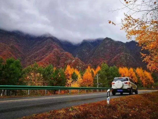 跟团游、自驾游、房车游,哪种好?为什么?