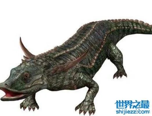 世界上最大的有角鳄，你绝对想不到这种角鳄到底有多大！ 