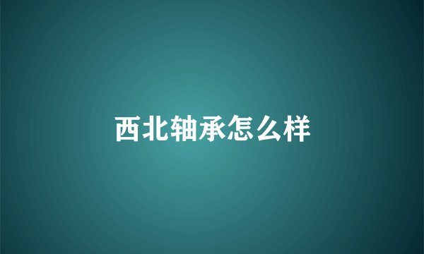 西北轴承怎么样