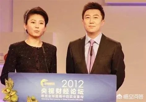 如何评价央视主持人陈伟鸿?