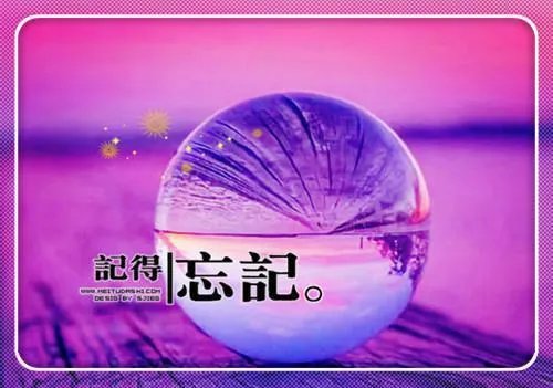 兔和猫小说（夏晚枝傅霁清）小说在线阅读_兔和猫小说全文免费阅读