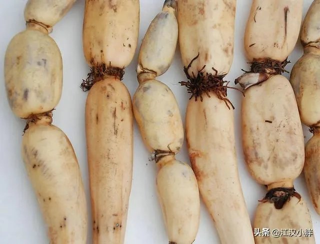 怎么做农产品推广?