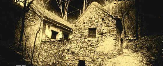 陕西夜狸猫事件发生地 村子的人都去哪里了