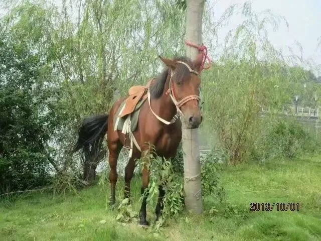 你在池州多久了，觉得生活幸福吗？