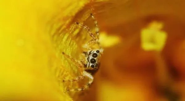 8月19日是什么日子