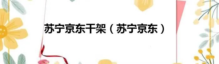 苏宁京东干架（苏宁京东）