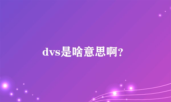 dvs是啥意思啊？