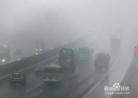 雾天行车有什么注意事项?