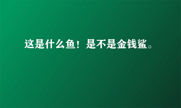 这是什么鱼！是不是金钱鲨。