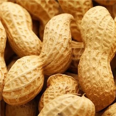 肺部疾病吃什么好