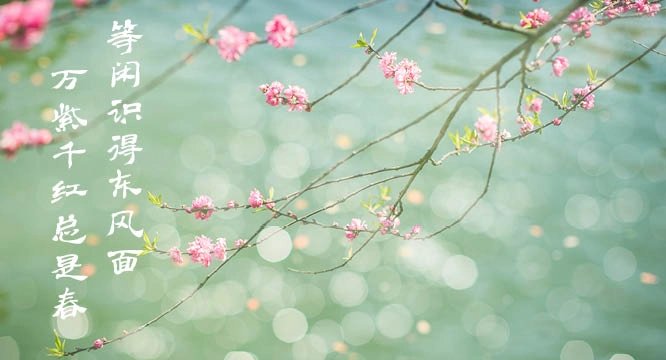 等闲识得东风面下一句是什么 蚂蚁庄园3月11日答案