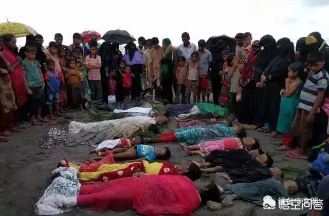 缅甸难民多吗？他们的生活怎么样？