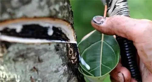 大漆和国漆的区别是怎样的 大漆有哪些优点