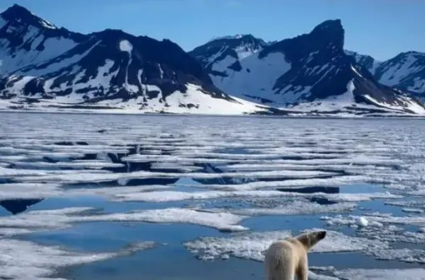专家表示:700座冰川或在30年内消失,对人类有何威胁?能否人为干预?