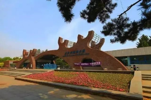 长春公交，轻轨，地铁最全乘车路线？