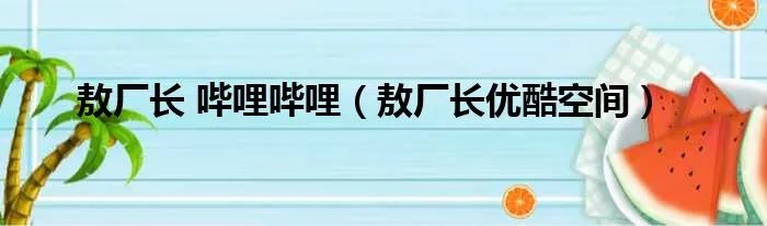 敖厂长 哔哩哔哩（敖厂长优酷空间）