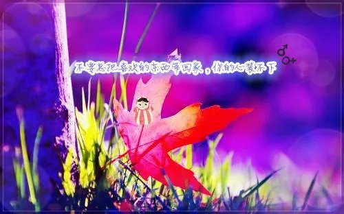 902666墨凤舞慕白川 902666小说全文阅读