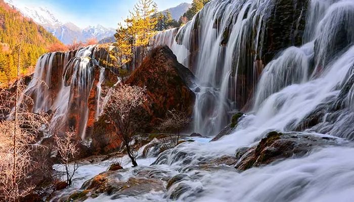 什么是物候现象 物候现象是什么意思