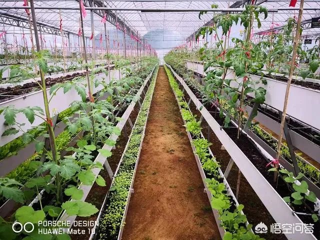 怎么做农产品推广?