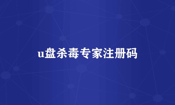 u盘杀毒专家注册码