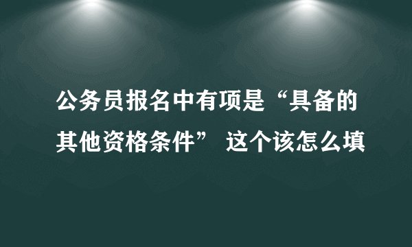 公务员报名中有项是“具备的其他资格条件” 这个该怎么填