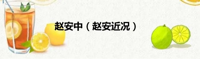 赵安中（赵安近况）