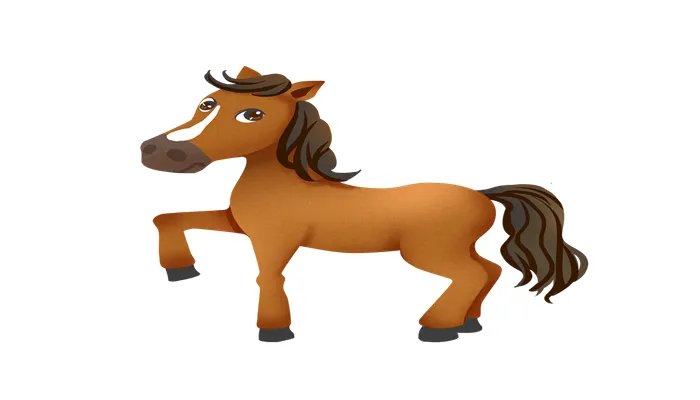 马是怎么睡觉的 马是如何睡觉的