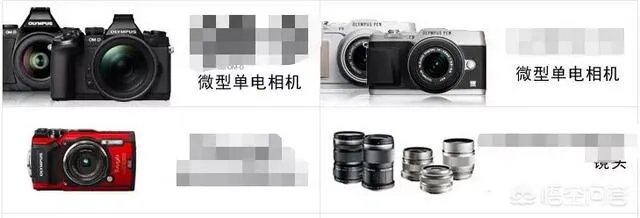 无反,微单,单反有什么区别,如果购买应该买哪种呢?