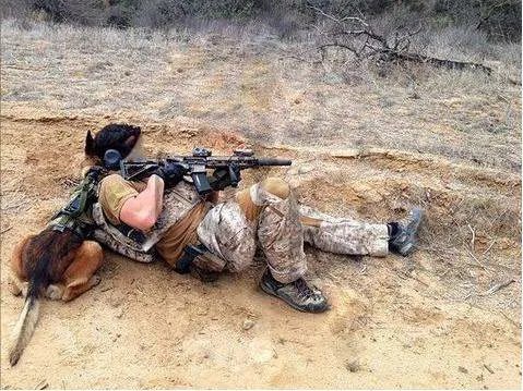 世界十大特种部队有哪些？