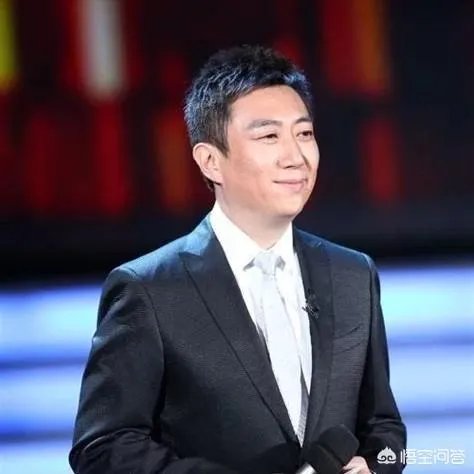 如何评价央视主持人陈伟鸿?