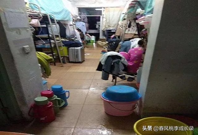 床上不能放布娃娃,垃圾桶里不能有垃圾,大学该管学生内务吗?