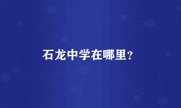 石龙中学在哪里?