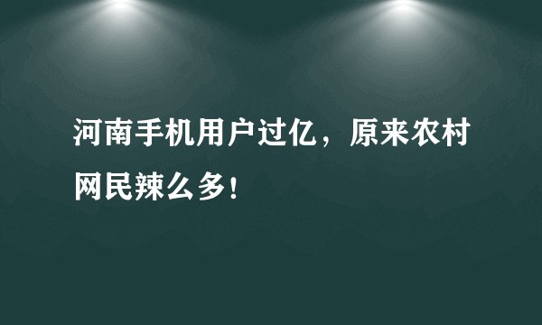河南手机用户过亿，原来农村网民辣么多！