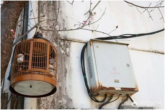 微单与手机哪个更好？