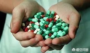 幼猪有什么作用