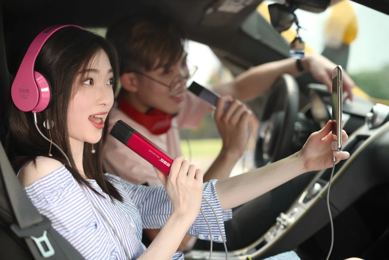 麦克风多少钱一个