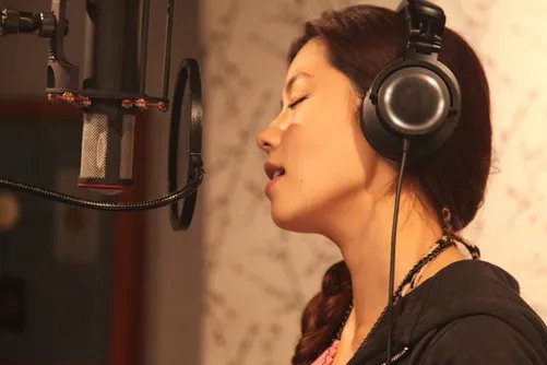 区别真不小 动圈麦和电容麦你了解吗?