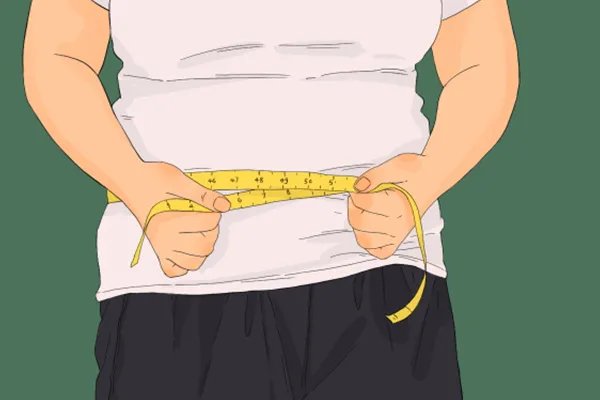 淀粉类食物会发胖吗