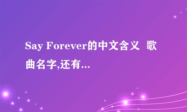 Say Forever的中文含义 歌曲名字,还有它里面那句英文是什么意思?