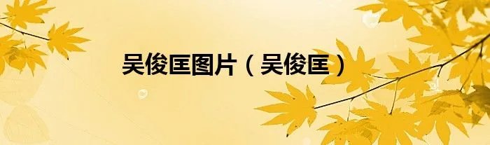 吴俊匡图片（吴俊匡）