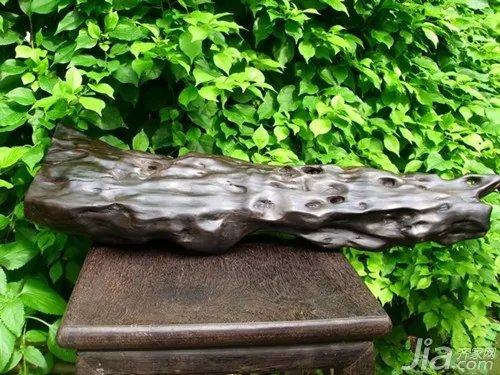 什么是阴沉木 阴沉木的种类