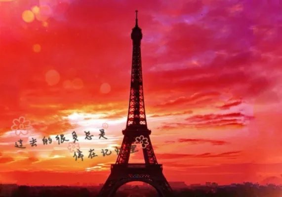 树叶贴画作品图片大全